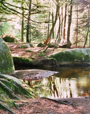 foret du sidobre