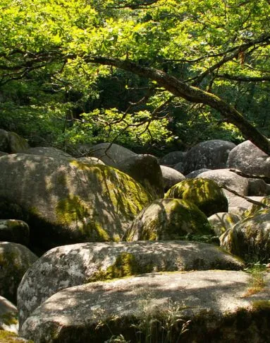 riviere de rochers
